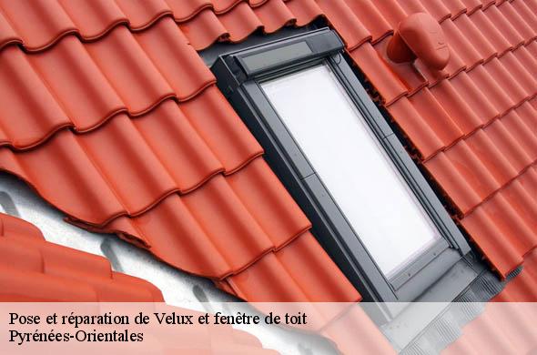 Pose et réparation de Velux et fenêtre de toit 66 Pyrénées-Orientales  Brun renovation