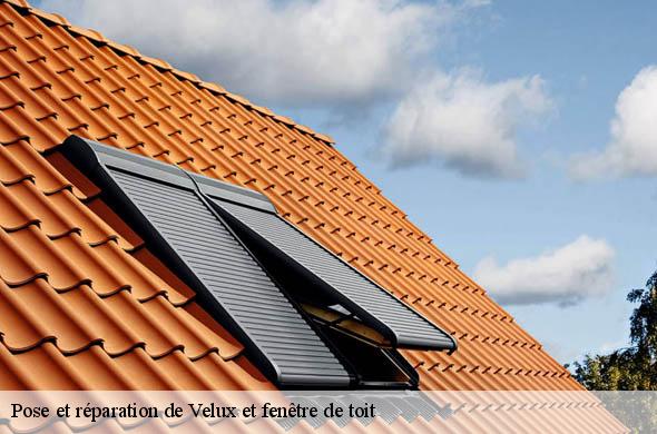 Pose et réparation de Velux et fenêtre de toit 66 Pyrénées-Orientales  Brun renovation