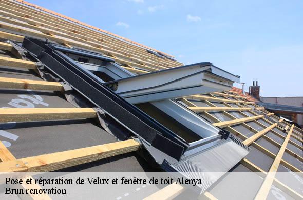 Pose et réparation de Velux et fenêtre de toit  alenya-66200 Brun renovation