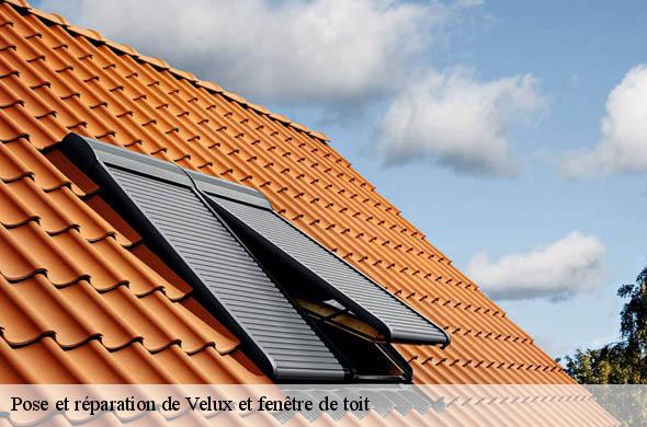 Pose et réparation de Velux et fenêtre de toit  les-angles-66210 Brun renovation