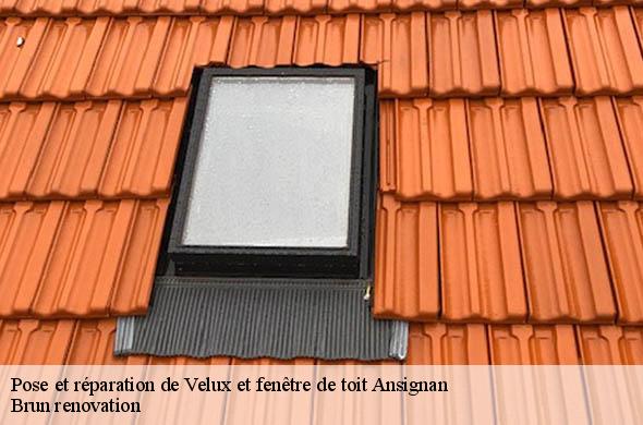 Pose et réparation de Velux et fenêtre de toit  ansignan-66220 Brun renovation