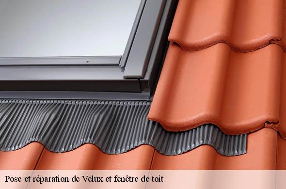 Pose et réparation de Velux et fenêtre de toit  camelas-66300 Brun renovation