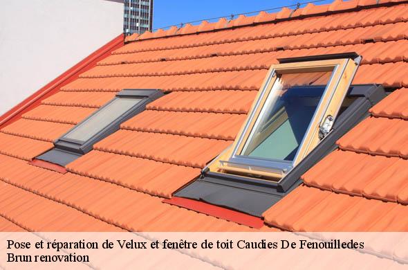 Pose et réparation de Velux et fenêtre de toit  caudies-de-fenouilledes-66220 Brun renovation