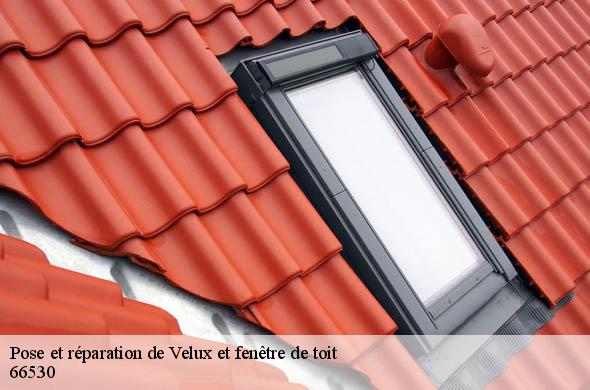 Pose et réparation de Velux et fenêtre de toit  claira-66530 Brun renovation