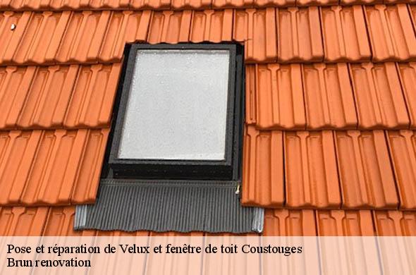 Pose et réparation de Velux et fenêtre de toit  coustouges-66260 Brun renovation
