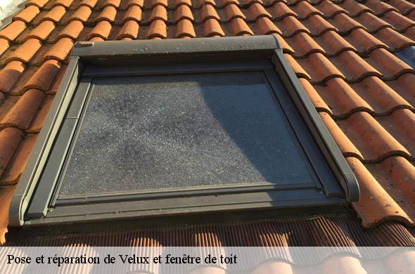 Pose et réparation de Velux et fenêtre de toit  fourques-66300 Brun renovation