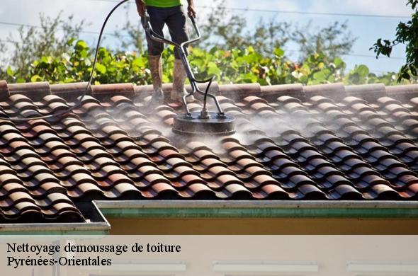 Nettoyage demoussage de toiture 66 Pyrénées-Orientales  EJ Couverture