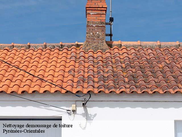 Nettoyage demoussage de toiture 66 Pyrénées-Orientales  EJ Couverture