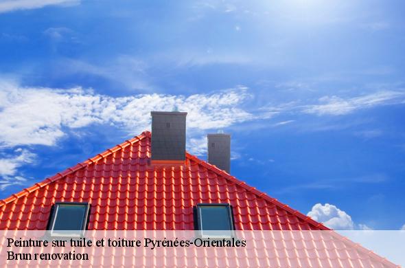 Peinture sur tuile et toiture 66 Pyrénées-Orientales  Brun renovation