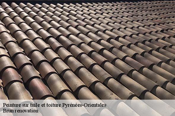 Peinture sur tuile et toiture 66 Pyrénées-Orientales  Brun renovation