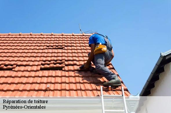 Réparation de toiture 66 Pyrénées-Orientales  Brun renovation