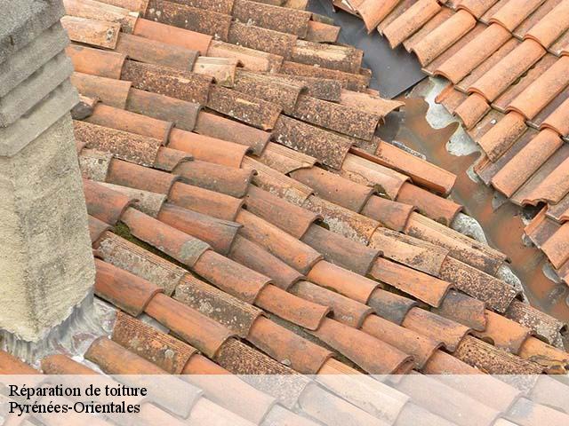 Réparation de toiture 66 Pyrénées-Orientales  EJ Couverture