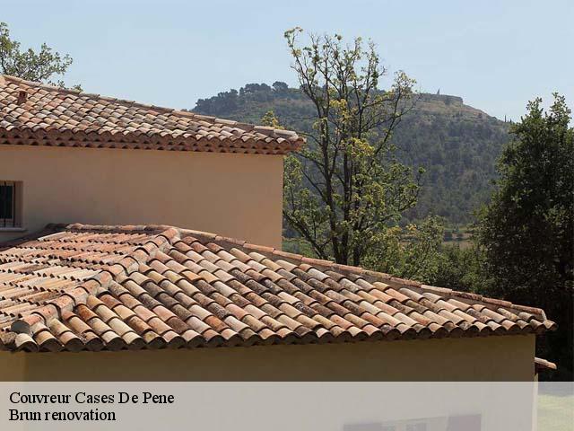 Couvreur  cases-de-pene-66600 Brun renovation