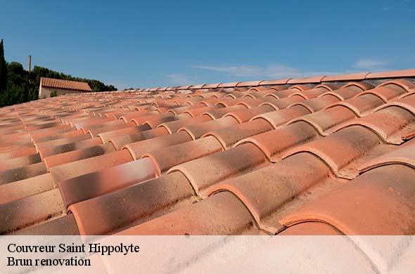 Couvreur  saint-hippolyte-66510 EJ Couverture