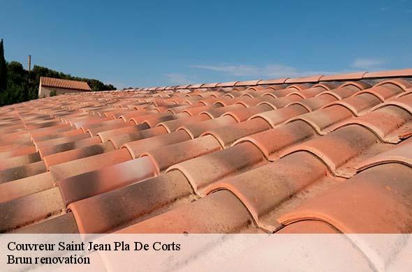 Couvreur  saint-jean-pla-de-corts-66400 Brun renovation