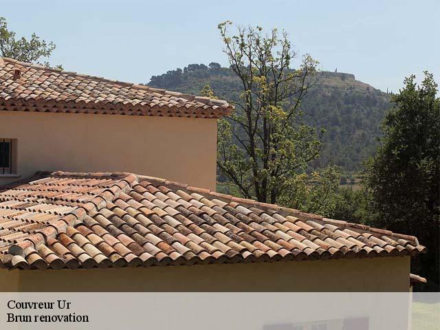 Couvreur  ur-66760 Brun renovation