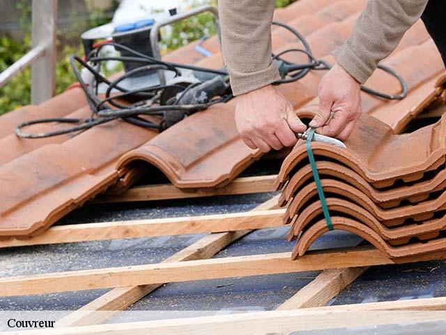 Couvreur  ur-66760 Brun renovation