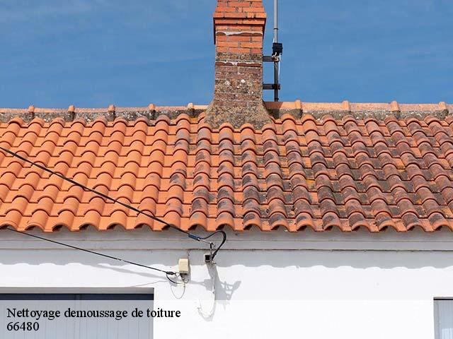 Nettoyage demoussage de toiture  l-albere-66480 Brun renovation