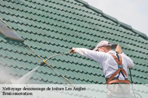Nettoyage demoussage de toiture  les-angles-66210 Brun renovation