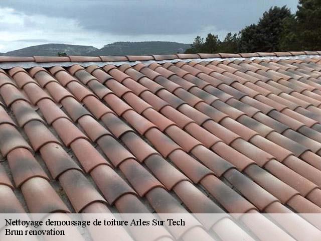 Nettoyage demoussage de toiture  arles-sur-tech-66150 Brun renovation