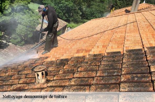 Nettoyage demoussage de toiture  ayguatebia-talau-66360 Brun renovation