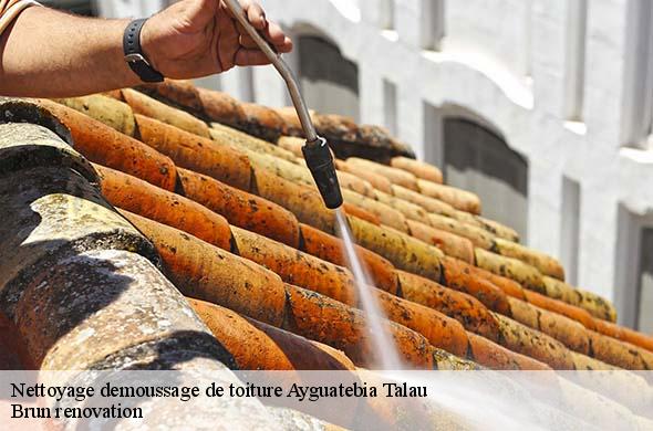Nettoyage demoussage de toiture  ayguatebia-talau-66360 Brun renovation