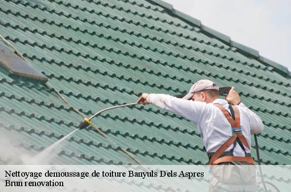 Nettoyage demoussage de toiture  banyuls-dels-aspres-66300 Brun renovation