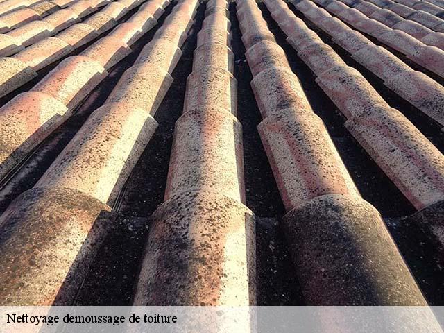 Nettoyage demoussage de toiture  la-bastide-66110 Brun renovation