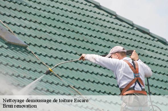 Nettoyage demoussage de toiture  escaro-66360 Brun renovation