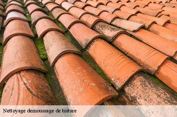 Nettoyage demoussage de toiture  escaro-66360 Brun renovation