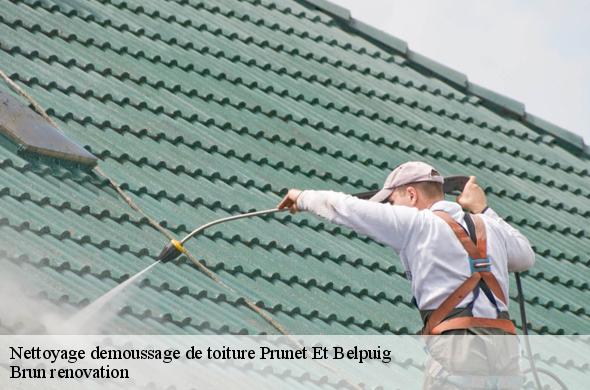 Nettoyage demoussage de toiture  prunet-et-belpuig-66130 Brun renovation