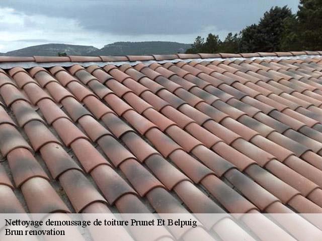 Nettoyage demoussage de toiture  prunet-et-belpuig-66130 Brun renovation