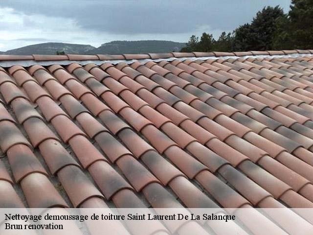 Nettoyage demoussage de toiture  saint-laurent-de-la-salanque-66250 Brun renovation