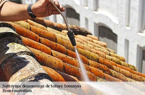 Nettoyage demoussage de toiture  souanyas-66360 Brun renovation