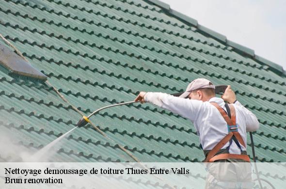Nettoyage demoussage de toiture  thues-entre-valls-66360 Brun renovation