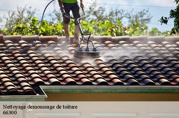 Nettoyage demoussage de toiture  thuir-66300 Brun renovation