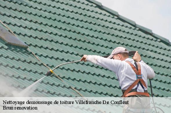 Nettoyage demoussage de toiture  villefranche-de-conflent-66500 Brun renovation