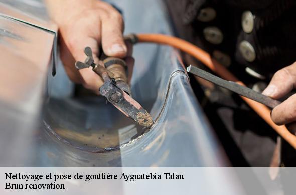 Nettoyage et pose de gouttière  ayguatebia-talau-66360 Brun renovation