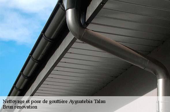 Nettoyage et pose de gouttière  ayguatebia-talau-66360 Brun renovation