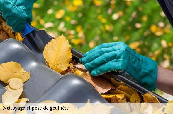 Nettoyage et pose de gouttière  corbere-les-cabanes-66130 Brun renovation