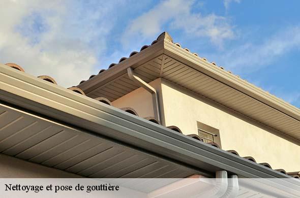 Nettoyage et pose de gouttière  glorianes-66320 Brun renovation