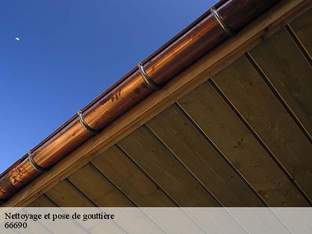 Nettoyage et pose de gouttière  palau-del-vidre-66690 Brun renovation