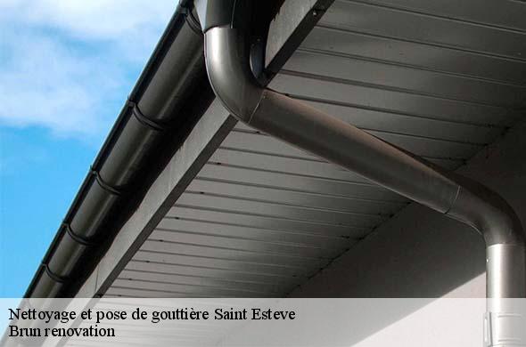 Nettoyage et pose de gouttière  saint-esteve-66240 Brun renovation