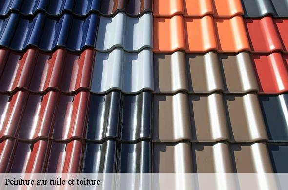 Peinture sur tuile et toiture  l-albere-66480 Brun renovation