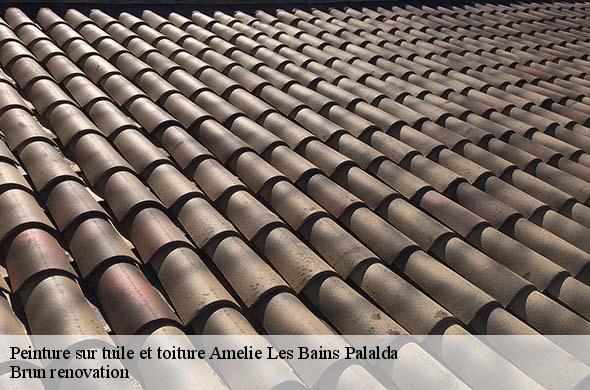Peinture sur tuile et toiture  amelie-les-bains-palalda-66110 Brun renovation