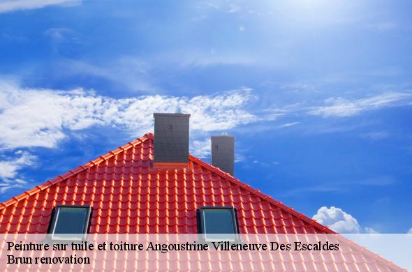 Peinture sur tuile et toiture  angoustrine-villeneuve-des-escaldes-66760 Brun renovation