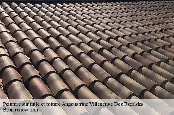 Peinture sur tuile et toiture  angoustrine-villeneuve-des-escaldes-66760 Brun renovation