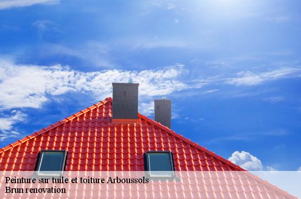 Peinture sur tuile et toiture  arboussols-66320 Brun renovation