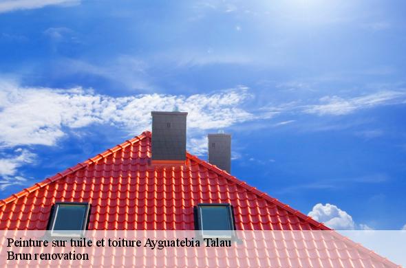 Peinture sur tuile et toiture  ayguatebia-talau-66360 Brun renovation