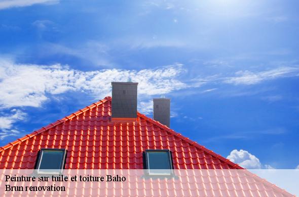 Peinture sur tuile et toiture  baho-66540 Brun renovation